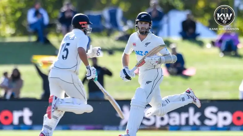 Path to the Final: New Zealand's Journey under Williamson